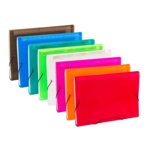 Translucent Expanding File with Elastic Closure, 13 Pockets, PP A4